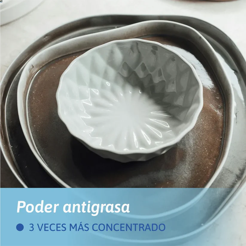 Lavaloza a mano en polvo