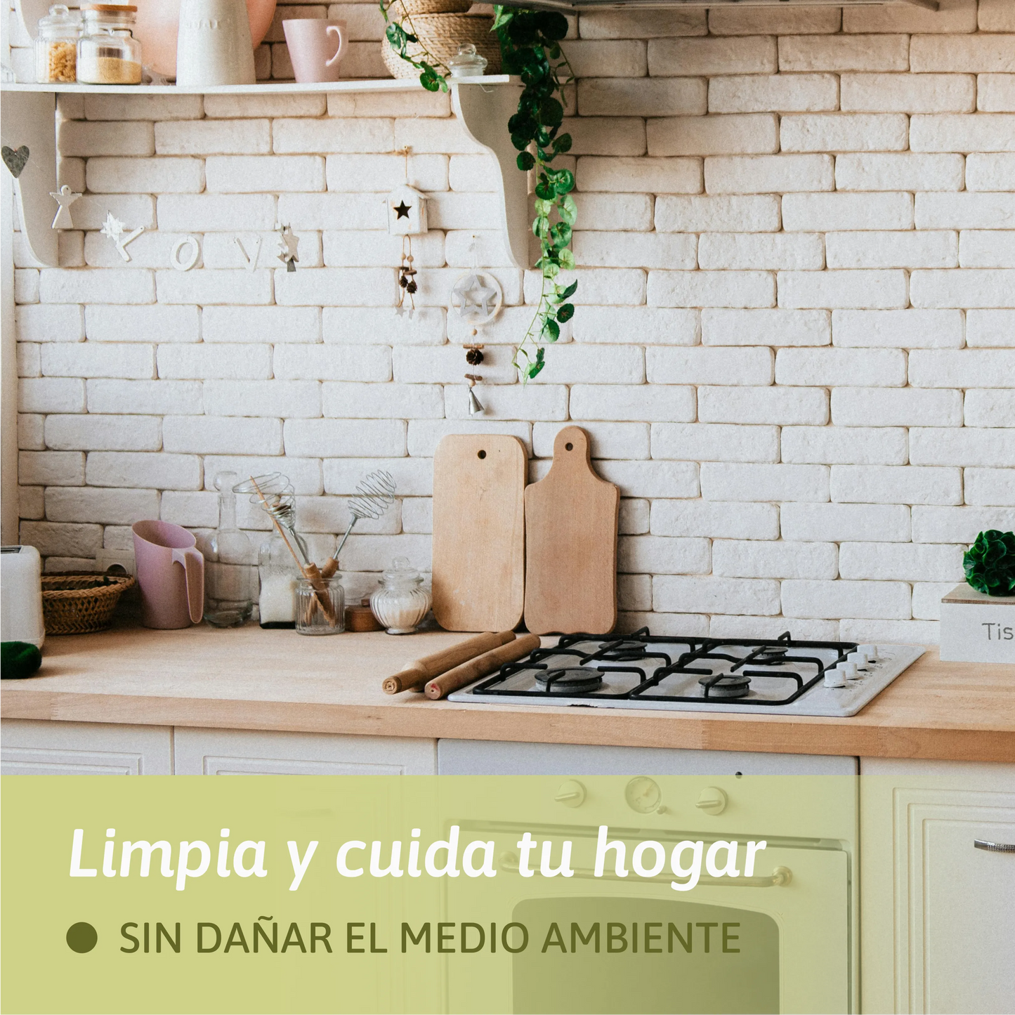 Ácido Cítrico - Removedor de Sarro - Limpiador versátil