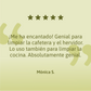 Ácido Cítrico - Removedor de Sarro - Limpiador versátil