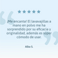 Pack Limpieza Maestra
